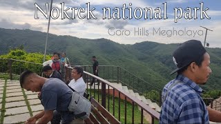 Nokrek national park Garo Hills Meghalaya Kagitcham Videoko upload [upl. by Mcclimans]