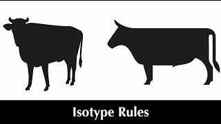 Isotype Rules 242 [upl. by Ramor565]