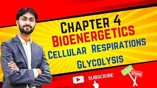 Cellular Respiration  Glycolysis Lecture 3 MDCAT 2024 [upl. by Edison307]