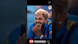 කොහොමද ගැම්ම 💪Srilanka Cricket Tik TokSL vs SASrilanka vs South Africa  shorts [upl. by Origra99]