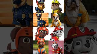 Paw patrol In Real Life pawpatrol superred26 shorts [upl. by Rafferty7]