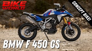 New Concept BMW F 450 GS  Eicma First Look [upl. by Denton194]