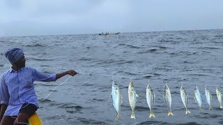 HORSE MACKEREL FISH CATCHING AT MID SEA [upl. by Ainehta]