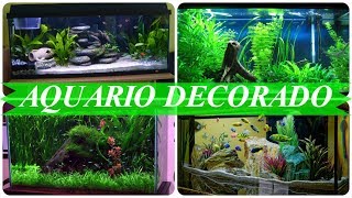 Ideias para decorar aquarios [upl. by Htiekal]