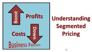 Understanding Segmented Pricing [upl. by Mendoza]