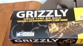 Grizzly Single Pump Air Rifle BB Gun Review [upl. by Martens]