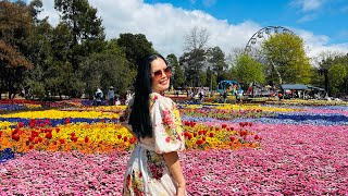 FLORIADE FESTIVAL 2024 Australia’s Biggest Celebration of Spring 🌸🌷 Canberra ACT Lady Ives [upl. by Yelac133]