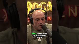 Joe Rogan wanting to meet Alan Graham [upl. by Yeknarf]