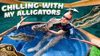 Taking a Dip with my Alligators [upl. by Nyvek]