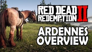 The WARPED BRINDLE Arabian  Red Dead Redemption 2 Story Mode [upl. by Timmy]