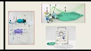 Neonatal Resuscitation Guidelines NRP 2022  dr Hanaa Saeed [upl. by Anoirtac]