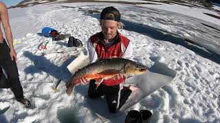 Isfiske Røye 47kg Indre Troms [upl. by Janeta]