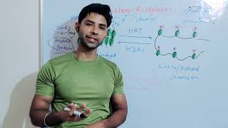 Histone Acetylation regulation of Gene expression in Eukaryotic Molecular biology [upl. by Chancey5]