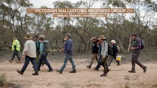 Victorian Malleefowl Recovery Group Training Weekend 2022 [upl. by Pembrook]