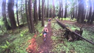 Mendocino Coast 50K 2016 Ultramarathon [upl. by Oler]