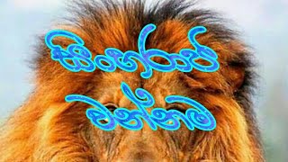 sinharaja wannama  සිංහරාජ වන්නම [upl. by Tega]