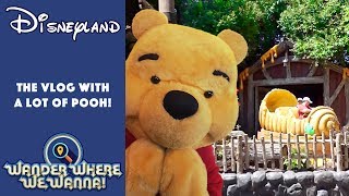 The Disneyland Vlog with A Lot of Pooh [upl. by Morel]