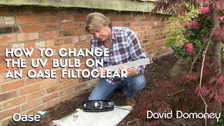 David Domoney How to change the UV Bulb on my Oase Filtoclear [upl. by Schnurr]