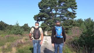 Wandeling in de Brunssummerheide [upl. by Xanthe732]