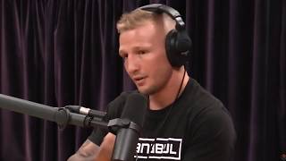 Joe Rogan And TJ Dillashaw Talk about Sanabul MMA Gloves  SANABUL [upl. by Dave912]