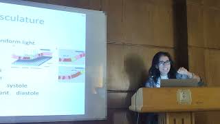 Physiology Module  Entoptic Phenomena  Prof Rasha Eltanamly [upl. by Oicneconi]