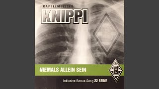 Niemals allein sein [upl. by Nitram]