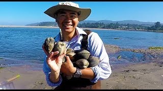 Digging for clams in Oregon How and where to catch giant clams during low tide [upl. by Viki]