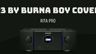 Burna Boy 23 Instrumental [upl. by Thar]