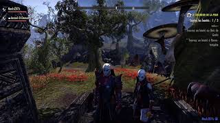 Laventure en Deshaan continue sur The Elder Scrolls  Online [upl. by Mulvihill]