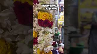 Flower market puducherry tamilnadu travel flowers southindia [upl. by Shinberg758]