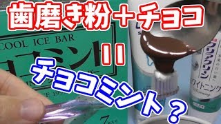 チョコミントアイスは本当に歯磨き粉の味がするのか検証してみた。 [upl. by Ibed]