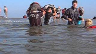 Wadlopen Ameland [upl. by Dusa]