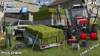 COLLECTING small SQUER HAY BALES with PASSAT and ZETOR  Polowa  Farming Simulator 22  Episode 16 [upl. by Nednal860]