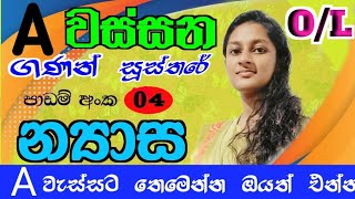 න්‍යාස ගැටලුව විනාඩියෙන්  Nyasa  grade 10 amp 11 maths [upl. by Vaules]