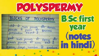 polyspermy fast and slow blocks of polyspermy in hindi [upl. by Crin]