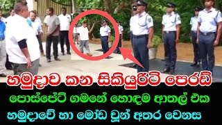 සිකියුරිටි මහත්තුරුන්ගේ ආතල් පෙරඩ් එක  chamara sampath dasanayaka  Eppawala Rock phosphate  sinha [upl. by Breanne269]