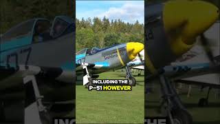 GERMAN VS AMERICAN BEAST Messerschmitt262 vs P51 [upl. by Kean730]