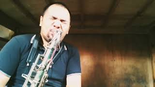 Pierrette competition tenor sax with plastic resonatorvintage berg LarsenRico reed [upl. by Carena]