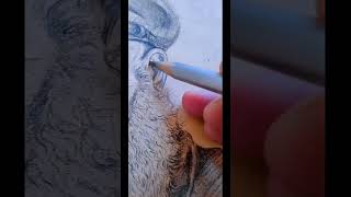 Portrait Sketch ✍️  Amezing art 🧐 sketchportrait dailysketches short shortvideo newartist [upl. by Nohsav]