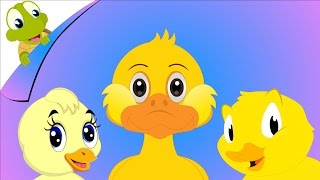 Six Little Ducks Nursery Rhyme for Kids with Lyrics [upl. by Vilma]