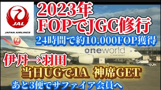 JAL JGC修行2023年 あと３便でサファイア会員！ [upl. by Aicargatla870]