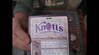 Knotts Berry Farm Subscription Box Spring 2024 [upl. by Mayor632]