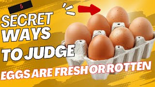 5 Secret Ways To Judge That Eggs are Fresh or Rotten [upl. by Peters]