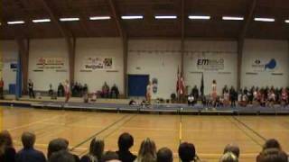 Danish Tumbling Team  Outrup 2008  Part 2 [upl. by Ymer]