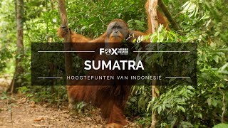 1 Sumatra  Hoogtepunten van Indonesië [upl. by Notlek]