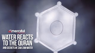 Water Reacts to the Quran amp Secrets of ZamZam [upl. by Aimak]