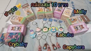 ร่วมสนุกกล่องสุ่ม10฿ กล่องสุ่ม Labubumolly Crbaby capybara ตุ๊กตาน่ารัก [upl. by Tnomel]