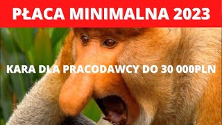 Płaca minimalna 2023  czy wiesz że pracodawcy grozi kara do 30 000 PLN [upl. by Naida]