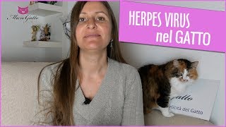 Herpes virus nel gatto ❤ cosa dice il Veterinario [upl. by Vickie]