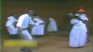 ድምቡሼ ገላ ኦሮምኛ  አሊ ሸቦ Dinbushe Gela  Ali Shebo [upl. by Wenz348]